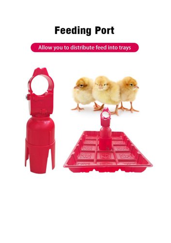 Chick Booster Feeder Assembly