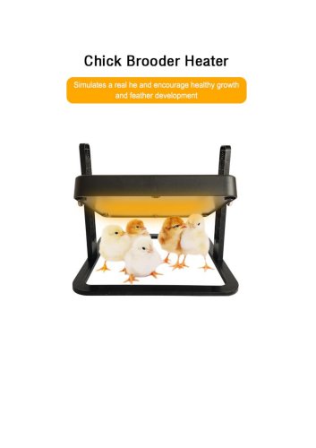 Chick Brooder Heater