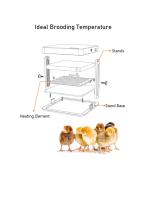 Chick Brooder Heater-3