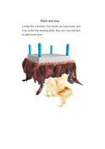 Chick Brooder Heater-5