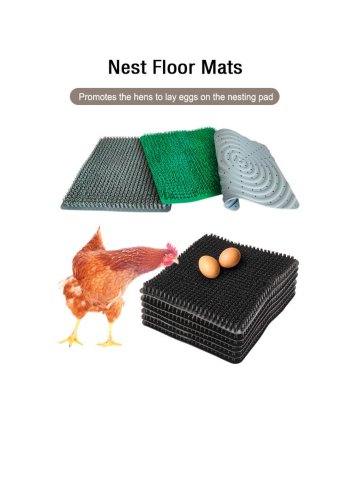 Chicken Egg Mat