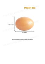 Chicken Fake Egg-2