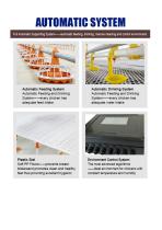 Chicken Farm Layout-3