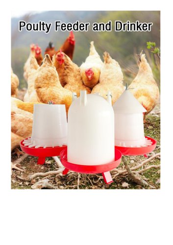 Chicken Feeder and Drinker with Legs
