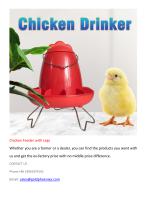 Chicken Feeder with Legs-1