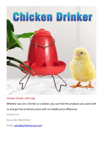 Chicken Feeder with Legs