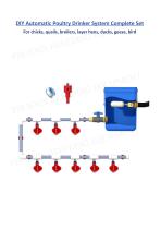 DIY Automatic Poultry Drinker System Complete Set-1