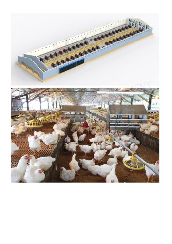 Fully Automatic Breeding Chicken House Equipment