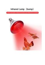 Heat Lamp Bulb-1
