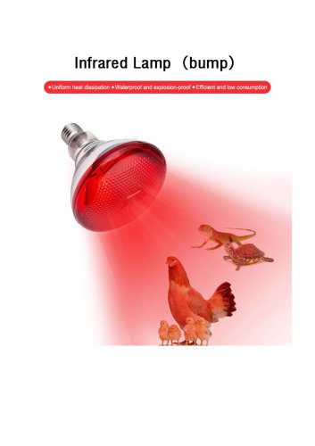 Heat Lamp Bulb