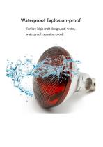 Heat Lamp Bulb-3