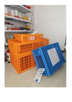 Live Chicken Transport Crate-4