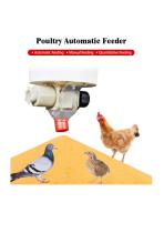 Multi-Function Poultry Automatic Feeder (Suitable for Chickens, Pigeons, Quails)-1