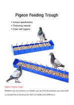 Piegeon Feeding Trough-1