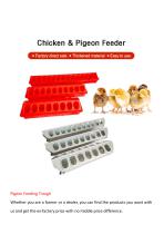 Piegeon Feeding Trough-1