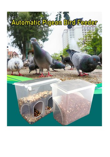 Pigeon Feeder For Cage
