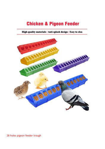 pigeon Feeder Trough