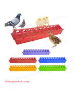 pigeon Feeder Trough-2