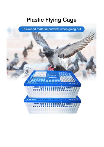 Pigeon Release Cage