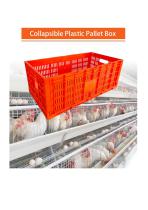 Plastic Egg Transport Cage with Egg Tray-1