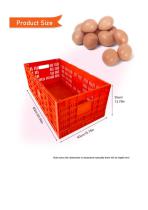 Plastic Egg Transport Cage with Egg Tray-2