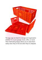 Plastic Egg Transport Cage with Egg Tray-3