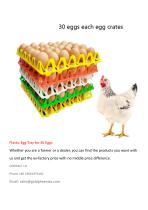 Plastic Egg Tray for 30 Eggs-3