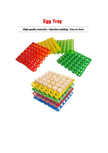 Plastic Egg Tray
