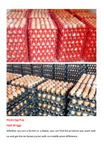 Plastic Egg Tray-3
