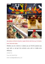 poultry nipple drinker with drip cup-1