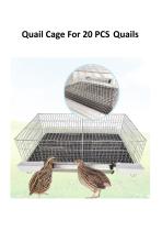 Quail Cage For 20 PCS Quails-1