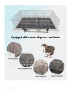 Quail Cage For 20 PCS Quails-5