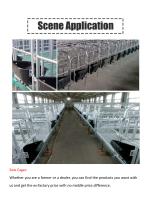 Sow Cages-1