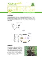 Products catalogue-12