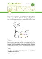 Products catalogue-8