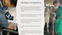 Empresa NEW VETEC S.L.-9