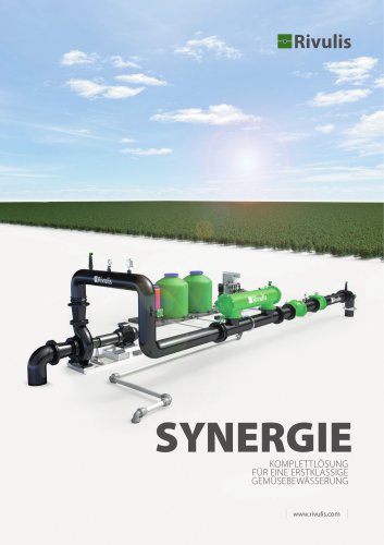 SYNERGIE