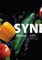 SYNERGIE-2