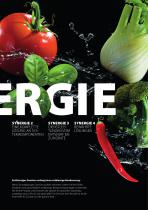 SYNERGIE-3
