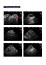 pet ultrasound machine L30i -4