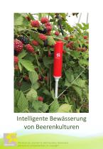 Intelligente Bewässerung von Beerenkulturen-1