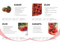 Manier Seeds Catalog EN-10