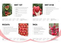 Manier Seeds Catalog EN-11