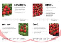 Manier Seeds Catalog EN-13