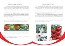 Manier Seeds Catalog EN-4