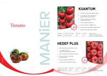 Manier Seeds Catalog EN-6