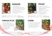 Manier Seeds Catalog EN-7