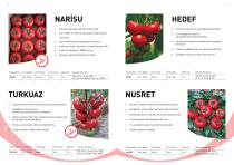 Manier Seeds Catalog EN-8