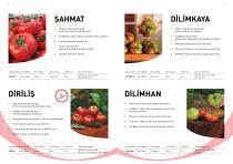 Manier Seeds Catalog EN-9