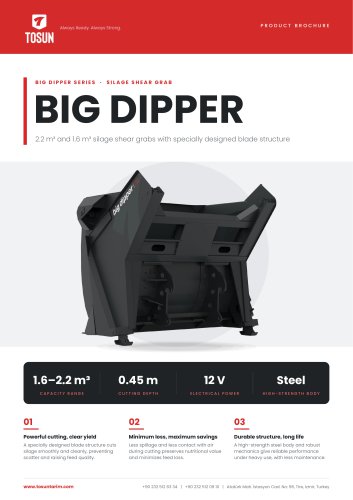 BIG DIPPER 